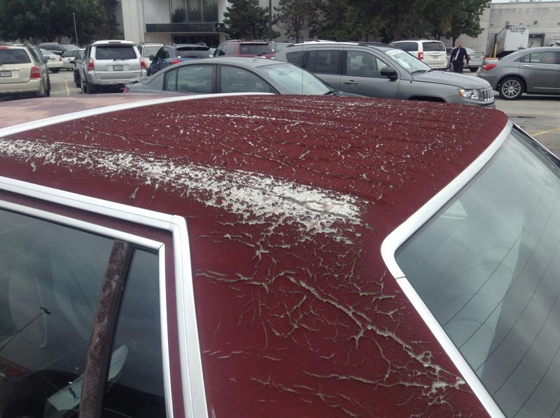 Illustration for article titled Went to look at this old crown Vic in the parking lot of the mall